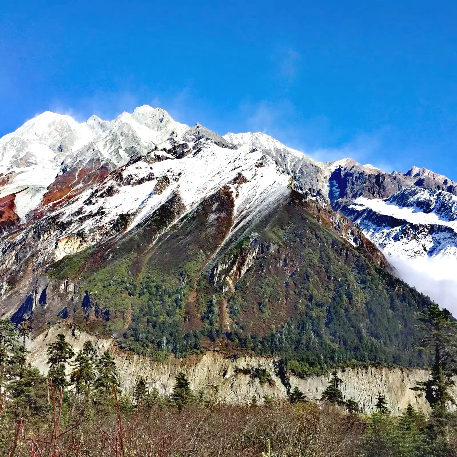 康定海螺沟旅游攻略-康定海螺沟门票多少钱(图7) 康定海螺沟旅游攻略_康定海螺沟旅游自驾游攻略_康定海螺沟门票多少钱