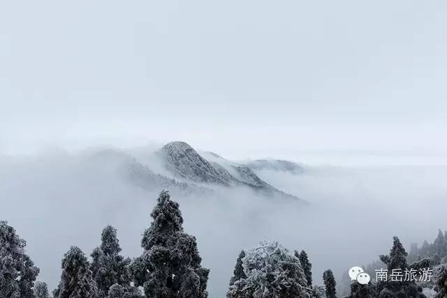 南岳衡山景区门票价格_南岳衡山景区_南岳衡山旅游攻略2024