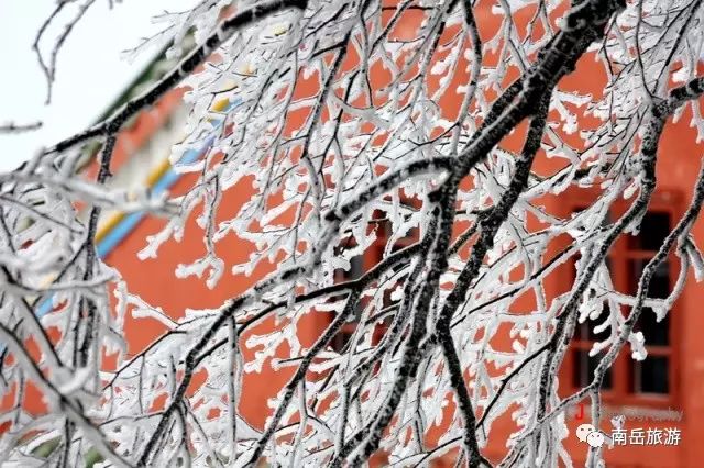 南岳衡山景区_南岳衡山景区门票价格_南岳衡山旅游攻略2024