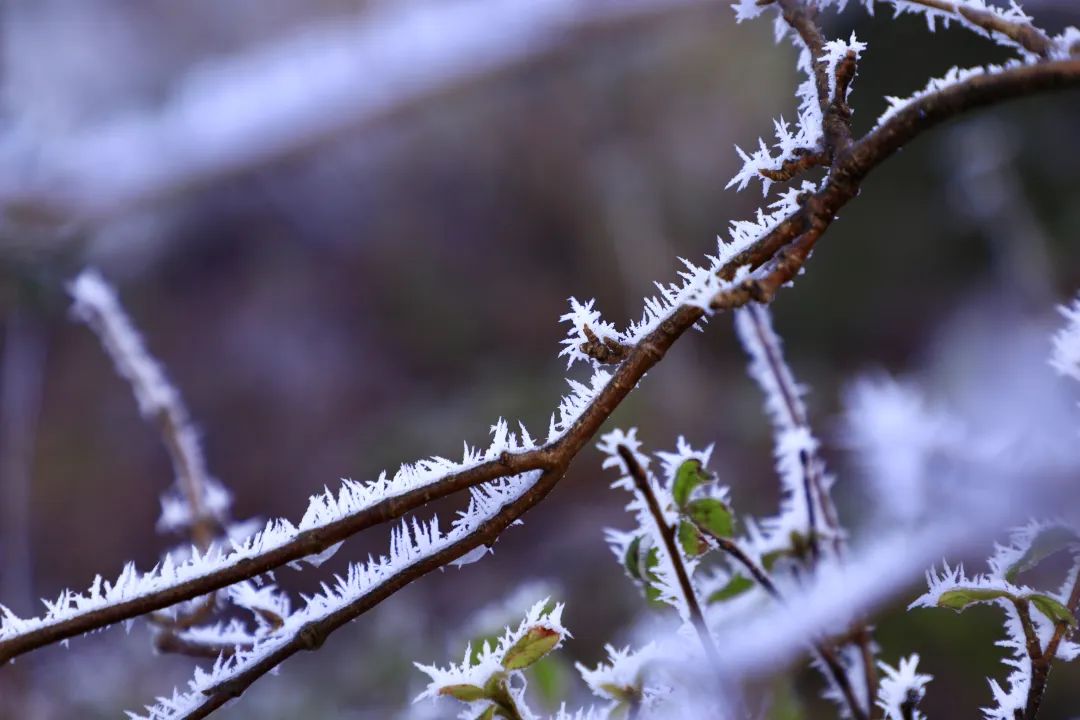 南岳衡山景区门票价格_南岳衡山旅游攻略2024_南岳衡山景区
