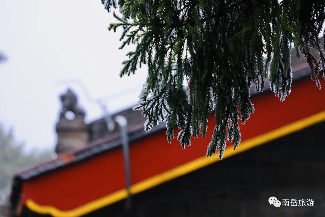 南岳衡山景区_南岳衡山景区门票价格_南岳衡山旅游攻略2024