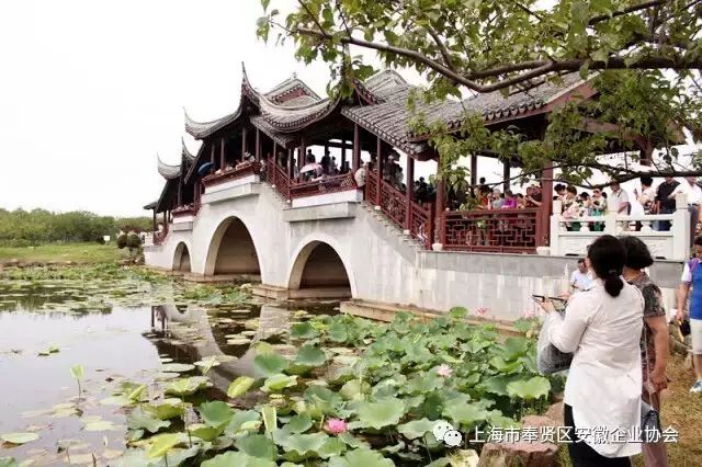 星尚频道时尚先锋-先锋频道时尚星尚节目表(图15) 时尚先锋栏目组_星尚频道时尚先锋_先锋频道时尚星尚节目表