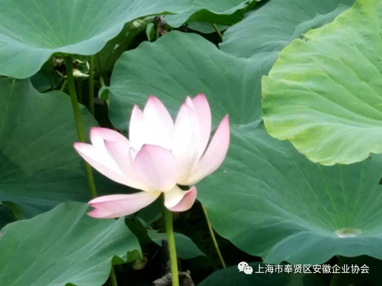 星尚频道时尚先锋-先锋频道时尚星尚节目表(图17) 先锋频道时尚星尚节目表_星尚频道时尚先锋_时尚先锋栏目组