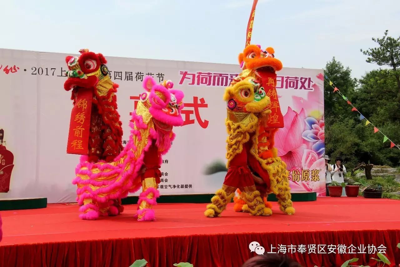 星尚频道时尚先锋-先锋频道时尚星尚节目表(图18) 星尚频道时尚先锋_时尚先锋栏目组_先锋频道时尚星尚节目表