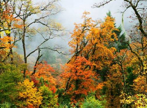 海螺沟到康定的路好走吗_康定海螺沟_康定海螺沟旅游攻略