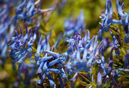 康定海螺沟_康定海螺沟旅游攻略_海螺沟到康定的路好走吗