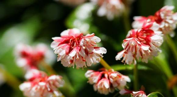 康定海螺沟_康定海螺沟旅游攻略_海螺沟到康定的路好走吗