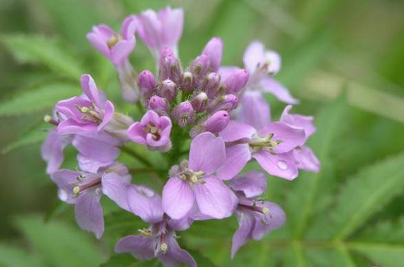 康定海螺沟旅游攻略_康定海螺沟_海螺沟到康定的路好走吗