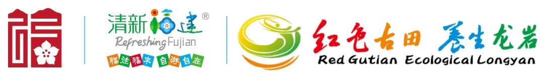 龙岩旅游攻略自助游-自助攻略龙岩旅游游客