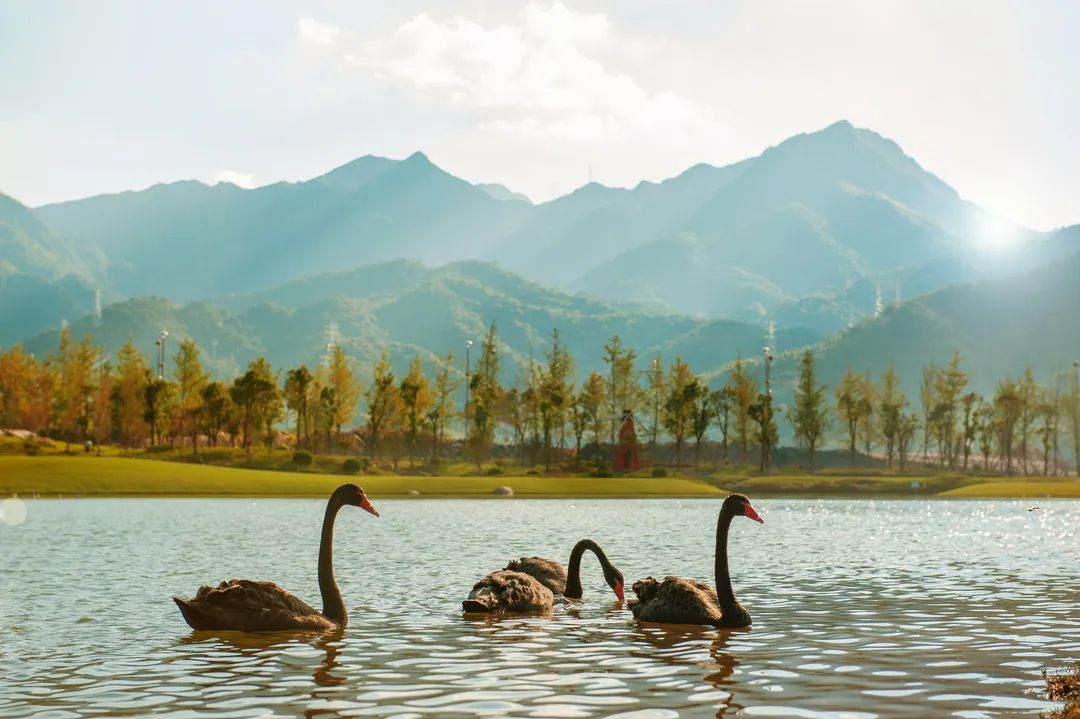 龙岩旅游攻略自助游_龙岩旅游攻略一日游_自助攻略龙岩旅游游客