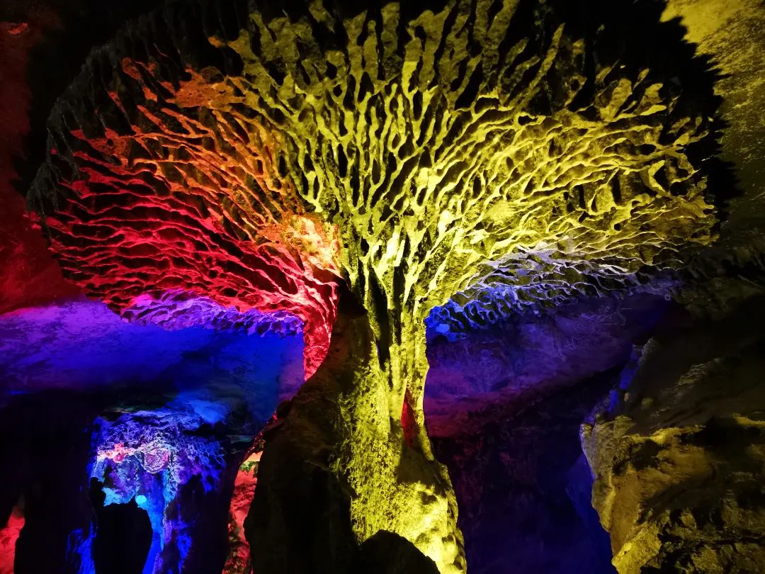 自助攻略龙岩旅游游客_龙岩旅游攻略一日游_龙岩旅游攻略自助游