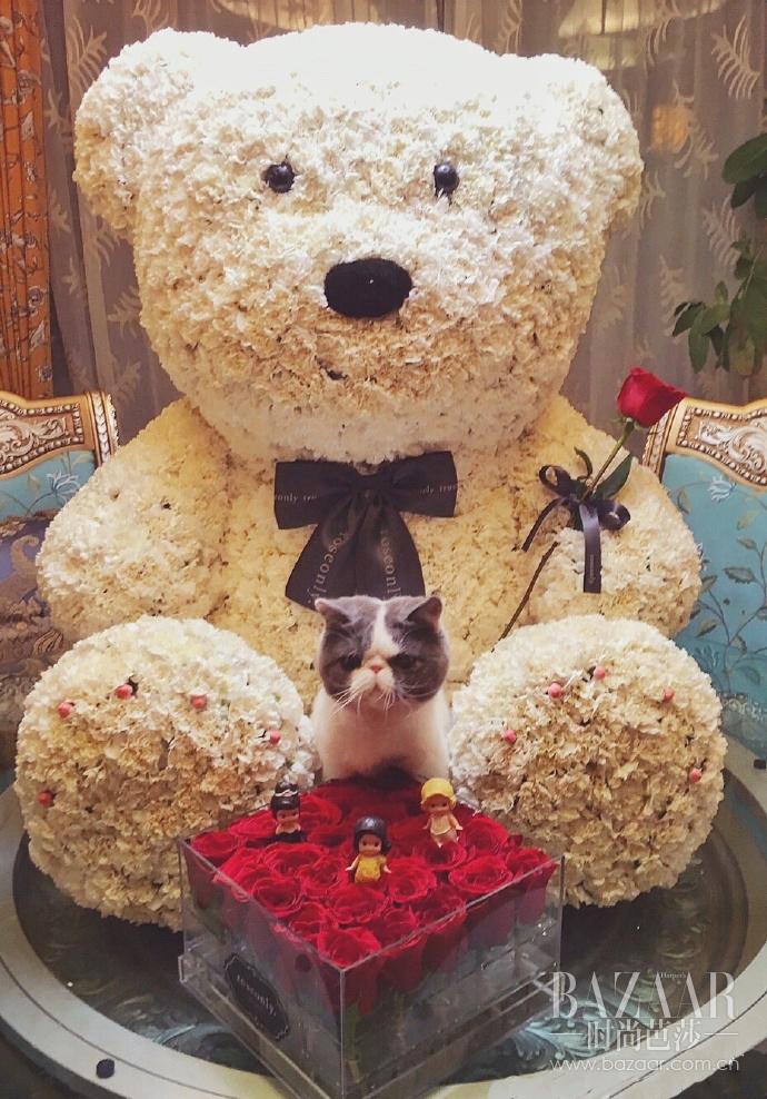 范冰冰 时尚_范冰冰时尚先生_范冰冰时尚芭莎杂志封面