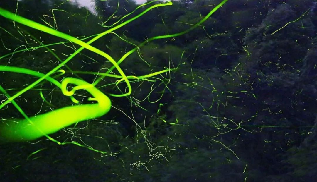 天台山平乐古镇二日游攻略_平乐古镇天台山两日游_平乐古镇天台山旅游攻略