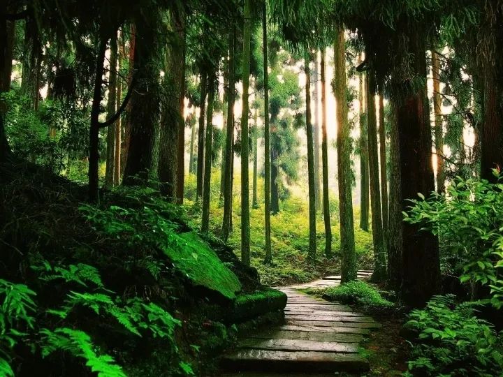 天台山平乐古镇二日游攻略_平乐古镇天台山旅游攻略_平乐古镇天台山两日游