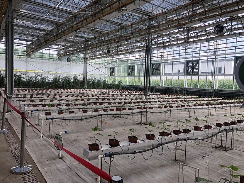 丹东宽甸旅游地图_丹东宽甸景点大全自驾游_丹东宽甸旅游攻略