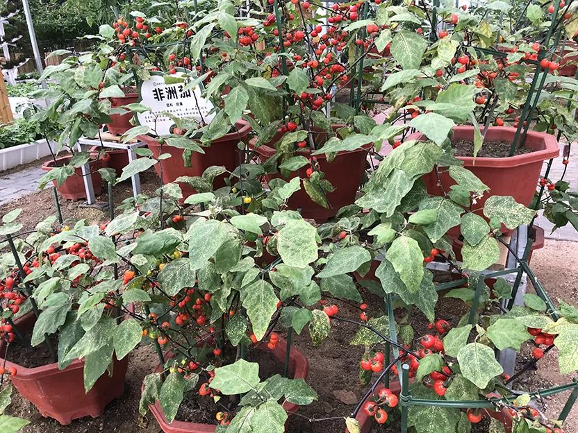 丹东宽甸旅游地图_丹东宽甸旅游攻略_丹东宽甸景点大全自驾游