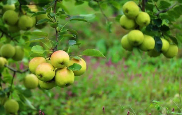 丹东宽甸景点大全自驾游_丹东宽甸旅游地图_丹东宽甸旅游攻略