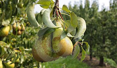 丹东宽甸旅游攻略_丹东宽甸旅游地图_丹东宽甸景点大全自驾游