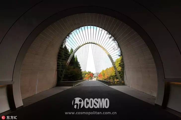 范冰冰时尚先生封面_范冰冰 时尚_范冰冰时尚芭莎杂志封面