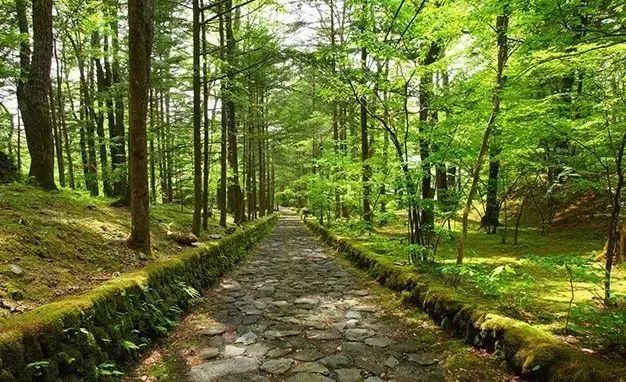 日本北海道9月旅游攻略-日本北海道旅游攻略4日游(图8) 日本北海道9月旅游攻略_日本北海道旅游攻略4日游_日本北海道旅行攻略