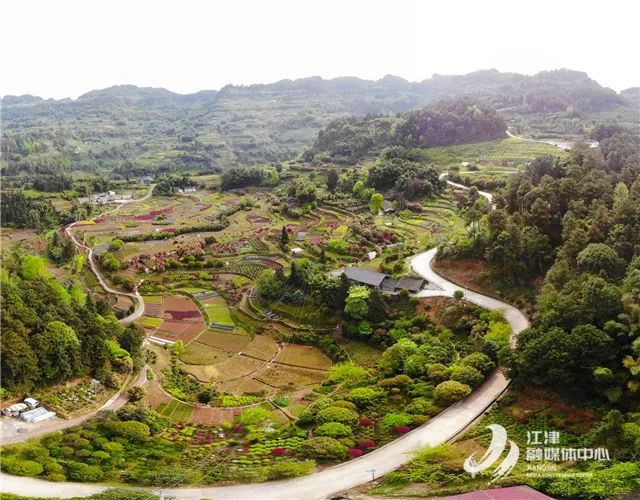 泸州到峨眉山旅游攻略-泸州到峨眉山2日(图80) 泸州到峨眉山2日_泸州到峨眉山有多少公里_泸州到峨眉山旅游攻略