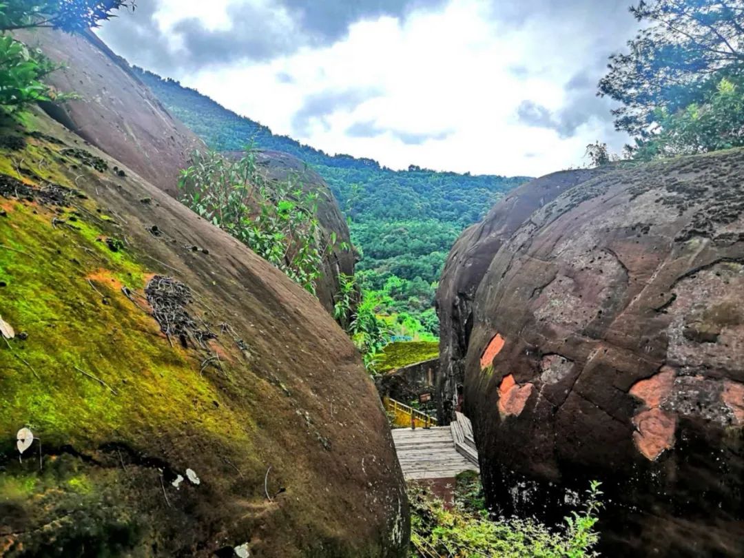 泸州到峨眉山旅游攻略-泸州到峨眉山2日(图26) 泸州到峨眉山有多少公里_泸州到峨眉山旅游攻略_泸州到峨眉山2日