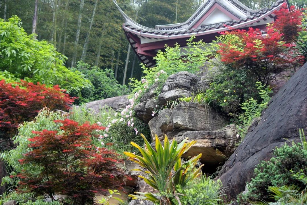 泸州到峨眉山旅游攻略-泸州到峨眉山2日(图37) 泸州到峨眉山旅游攻略_泸州到峨眉山有多少公里_泸州到峨眉山2日