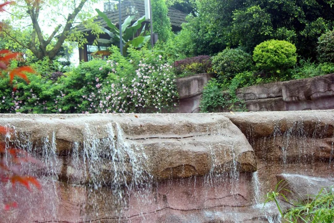 泸州到峨眉山旅游攻略-泸州到峨眉山2日(图38) 泸州到峨眉山有多少公里_泸州到峨眉山旅游攻略_泸州到峨眉山2日