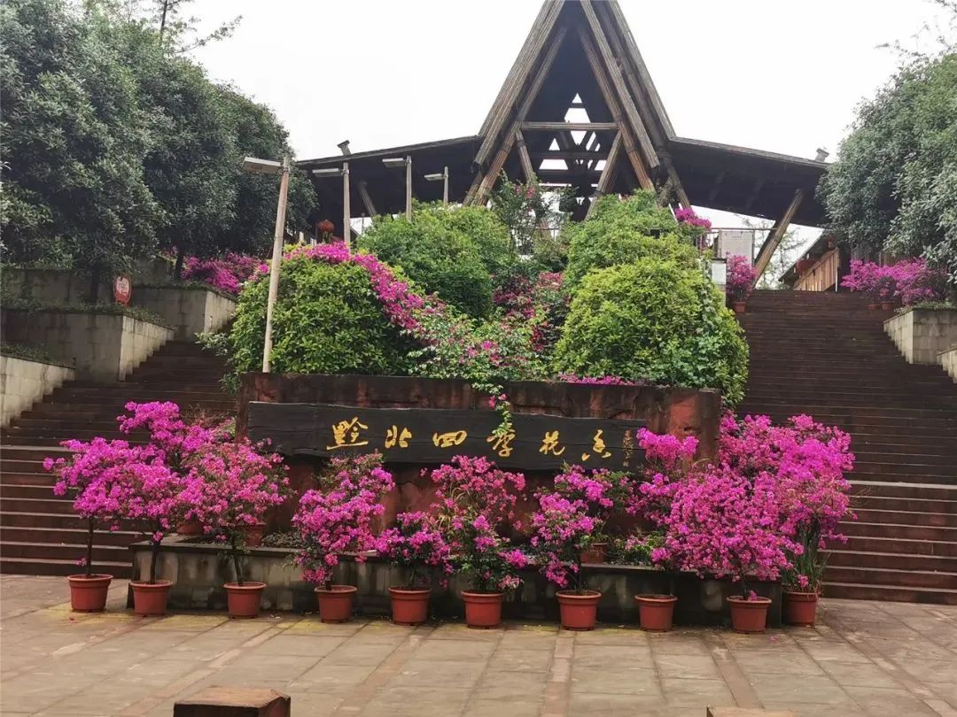 泸州到峨眉山旅游攻略-泸州到峨眉山2日(图46) 泸州到峨眉山旅游攻略_泸州到峨眉山有多少公里_泸州到峨眉山2日