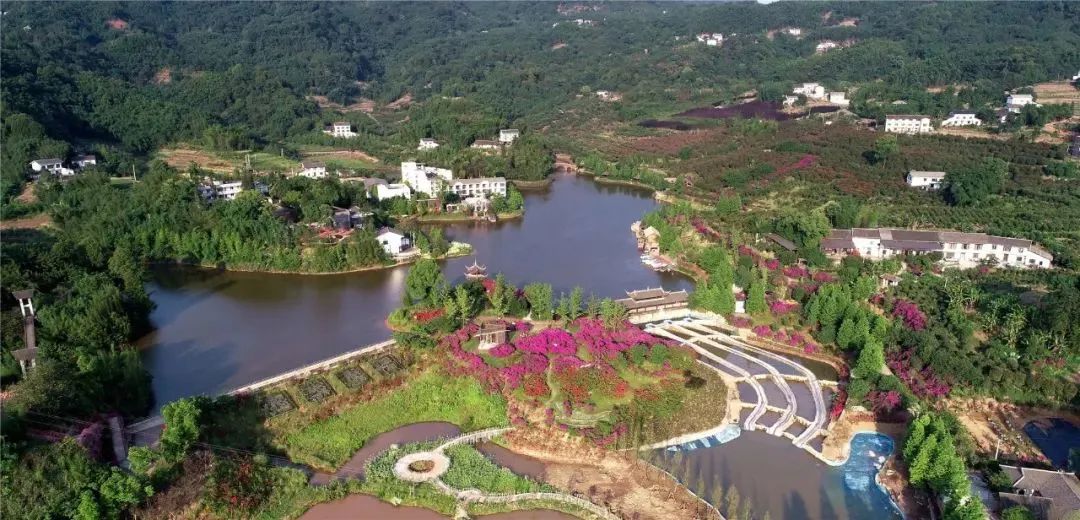 泸州到峨眉山旅游攻略-泸州到峨眉山2日(图47) 泸州到峨眉山有多少公里_泸州到峨眉山2日_泸州到峨眉山旅游攻略