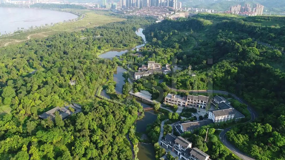 泸州到峨眉山旅游攻略-泸州到峨眉山2日(图53) 泸州到峨眉山有多少公里_泸州到峨眉山旅游攻略_泸州到峨眉山2日