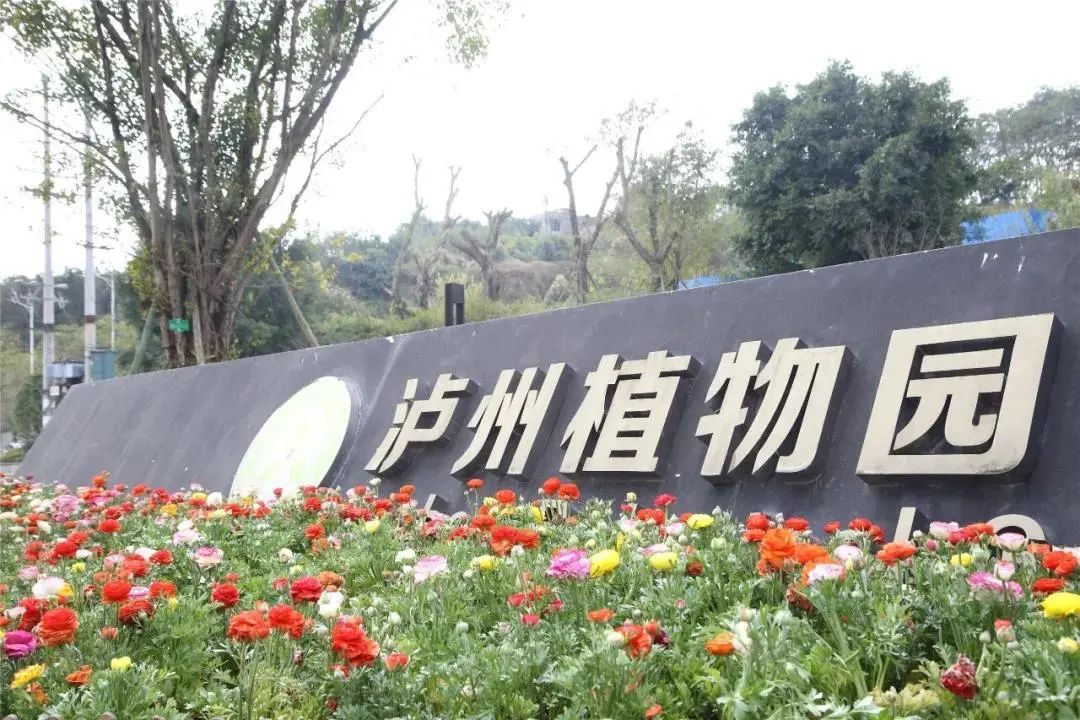 泸州到峨眉山旅游攻略-泸州到峨眉山2日(图56) 泸州到峨眉山旅游攻略_泸州到峨眉山有多少公里_泸州到峨眉山2日