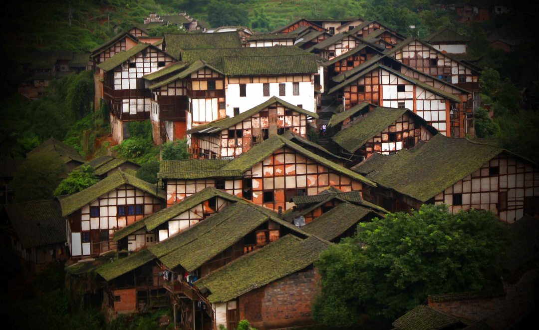 泸州到峨眉山旅游攻略-泸州到峨眉山2日(图65) 泸州到峨眉山有多少公里_泸州到峨眉山2日_泸州到峨眉山旅游攻略