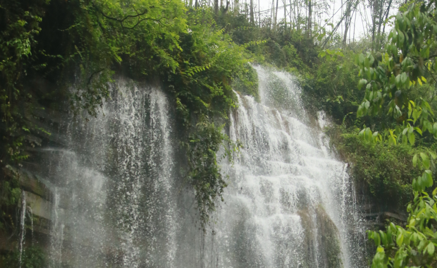 泸州到峨眉山旅游攻略-泸州到峨眉山2日(图69) 泸州到峨眉山有多少公里_泸州到峨眉山2日_泸州到峨眉山旅游攻略