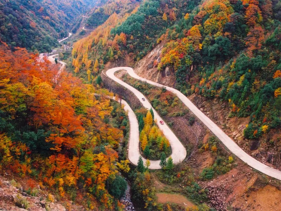 泸州到峨眉山旅游攻略-泸州到峨眉山有多少公里(图8) 泸州到峨眉山2日_泸州到峨眉山旅游攻略_泸州到峨眉山有多少公里