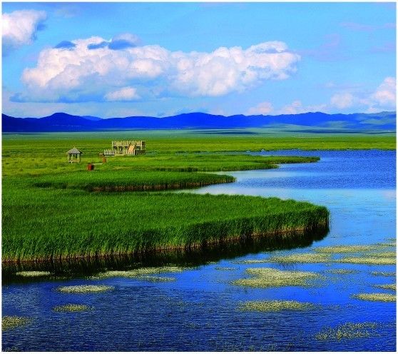 泸州到峨眉山旅游攻略-泸州到峨眉山有多少公里(图13) 泸州到峨眉山有多少公里_泸州到峨眉山2日_泸州到峨眉山旅游攻略