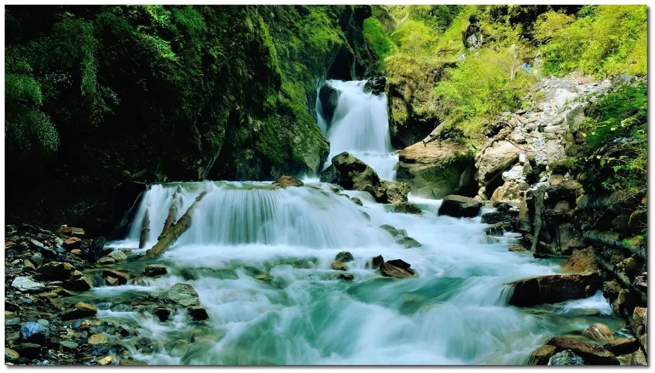 泸州到峨眉山旅游攻略-泸州到峨眉山有多少公里(图15) 泸州到峨眉山旅游攻略_泸州到峨眉山有多少公里_泸州到峨眉山2日