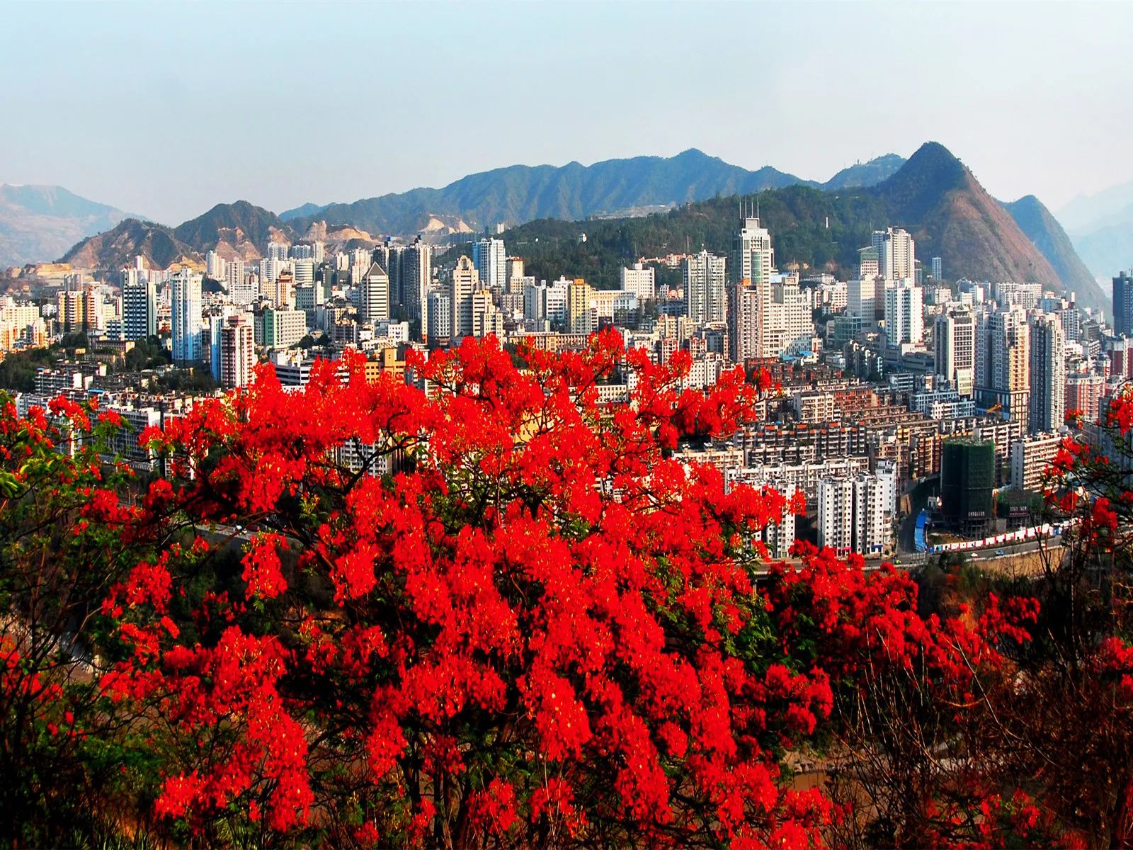 泸州到峨眉山旅游攻略-泸州到峨眉山有多少公里(图21) 泸州到峨眉山2日_泸州到峨眉山有多少公里_泸州到峨眉山旅游攻略