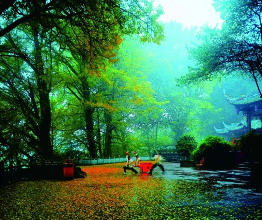 泸州到峨眉山旅游攻略-泸州到峨眉山有多少公里(图22) 泸州到峨眉山有多少公里_泸州到峨眉山2日_泸州到峨眉山旅游攻略