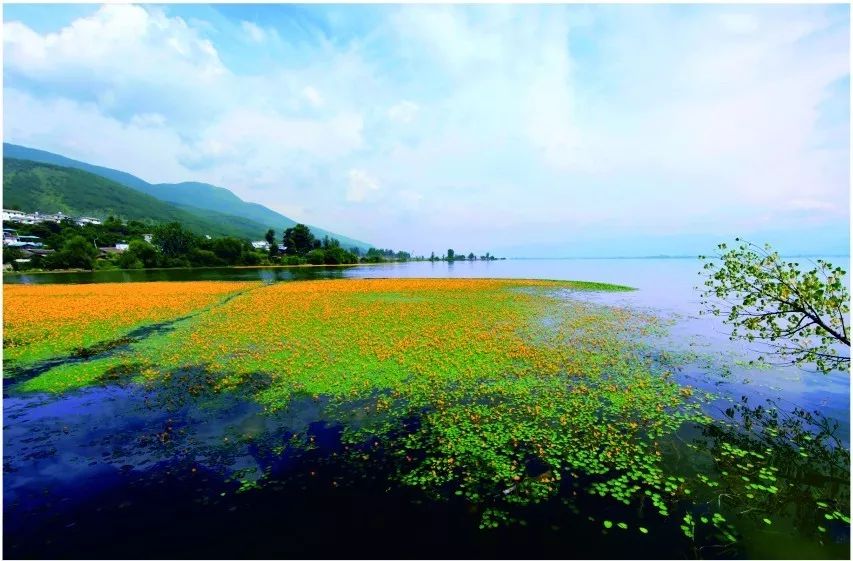 泸州到峨眉山旅游攻略-泸州到峨眉山有多少公里(图25) 泸州到峨眉山有多少公里_泸州到峨眉山旅游攻略_泸州到峨眉山2日