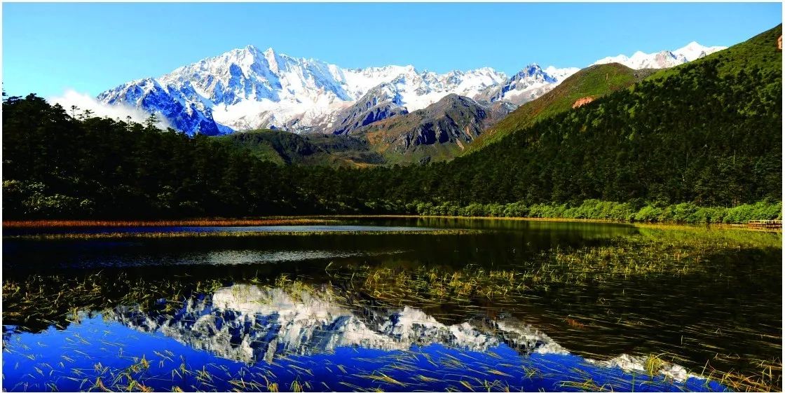 泸州到峨眉山旅游攻略-泸州到峨眉山有多少公里(图32) 泸州到峨眉山有多少公里_泸州到峨眉山2日_泸州到峨眉山旅游攻略