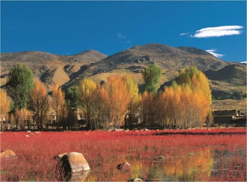 泸州到峨眉山旅游攻略-泸州到峨眉山有多少公里(图7) 泸州到峨眉山旅游攻略_泸州到峨眉山2日_泸州到峨眉山有多少公里