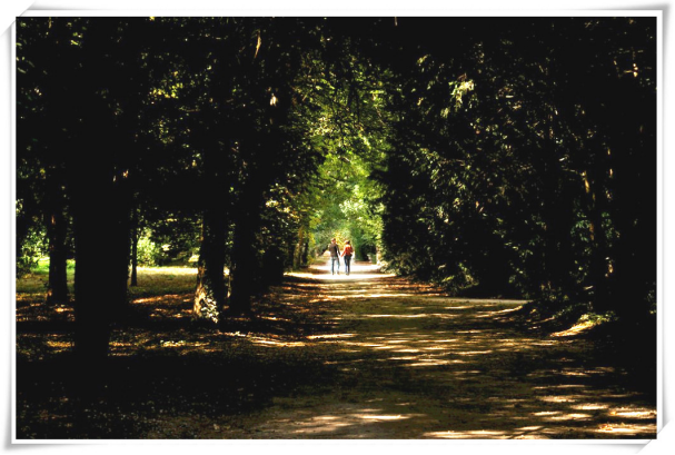 法国图尔旅游攻略-图尔是法国第几大城市(图12) 法国图尔旅游攻略_法国图尔地图_图尔是法国第几大城市