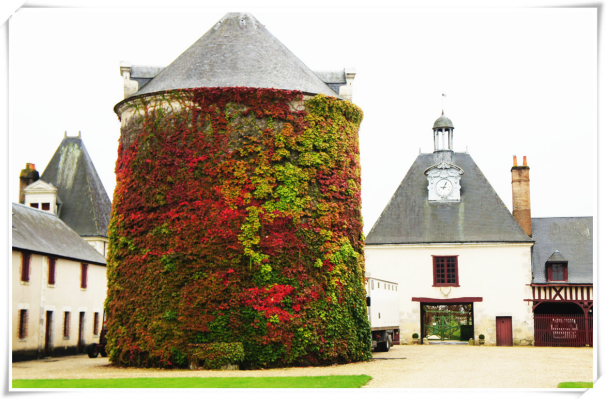 法国图尔旅游攻略-图尔是法国第几大城市(图22) 法国图尔地图_法国图尔旅游攻略_图尔是法国第几大城市