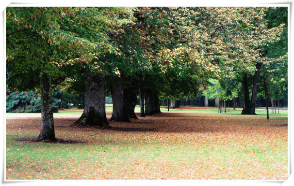 法国图尔旅游攻略-图尔是法国第几大城市(图23) 法国图尔旅游攻略_法国图尔地图_图尔是法国第几大城市