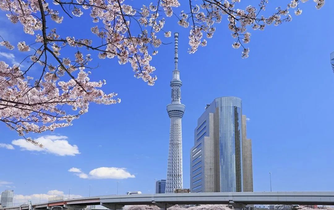 北美时尚插画-插画北欧简约风格图片(图17) 北美插画时尚图片_插画北欧简约风格图片_北美时尚插画