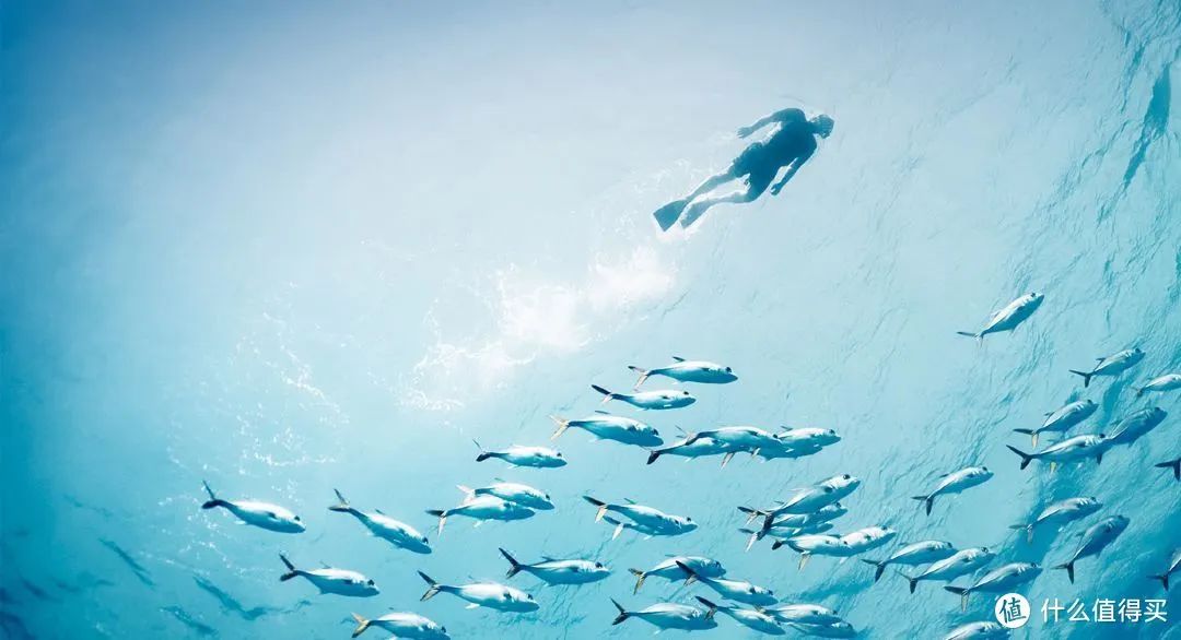 马尔代夫中央格兰德旅游攻略-马尔代夫度假价格(图12) 马尔代夫度假价格_马尔代夫中央格兰德旅游攻略_马尔代夫旅游官网