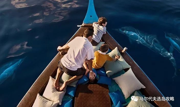 马尔代夫中央格兰德旅游攻略-马尔代夫中央格兰德岛(图20) 马尔代夫中央格陵兰岛_马尔代夫中央格兰德旅游攻略_马尔代夫中央格兰德岛