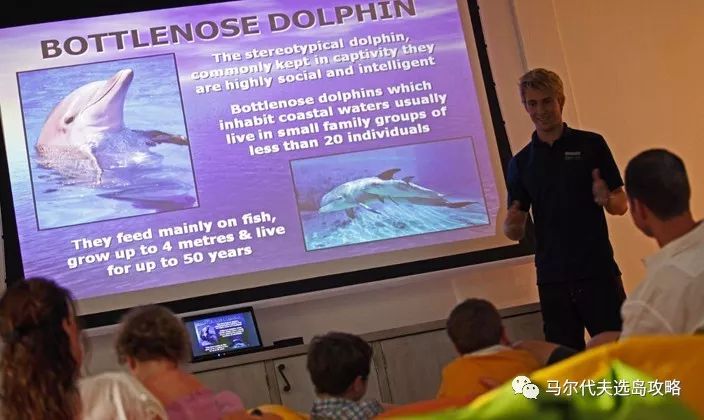 马尔代夫中央格兰德旅游攻略-马尔代夫中央格兰德岛(图21) 马尔代夫中央格陵兰岛_马尔代夫中央格兰德旅游攻略_马尔代夫中央格兰德岛