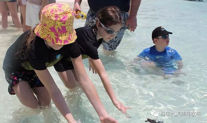 马尔代夫中央格兰德旅游攻略-马尔代夫中央格兰德岛(图28) 马尔代夫中央格兰德旅游攻略_马尔代夫中央格陵兰岛_马尔代夫中央格兰德岛